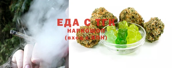 сатива Новозыбков