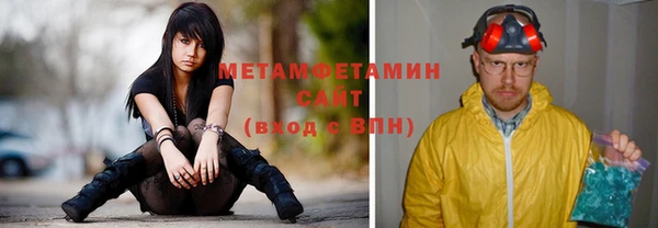 сатива Новозыбков