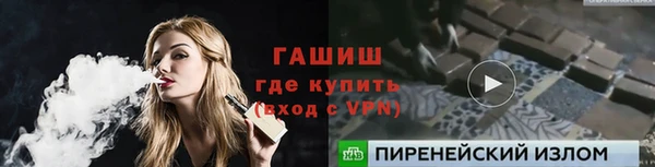 сатива Новозыбков