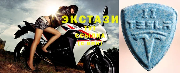 сатива Новозыбков