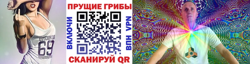 мориарти какой сайт  Кущёвская  Псилоцибиновые грибы Magic Shrooms 